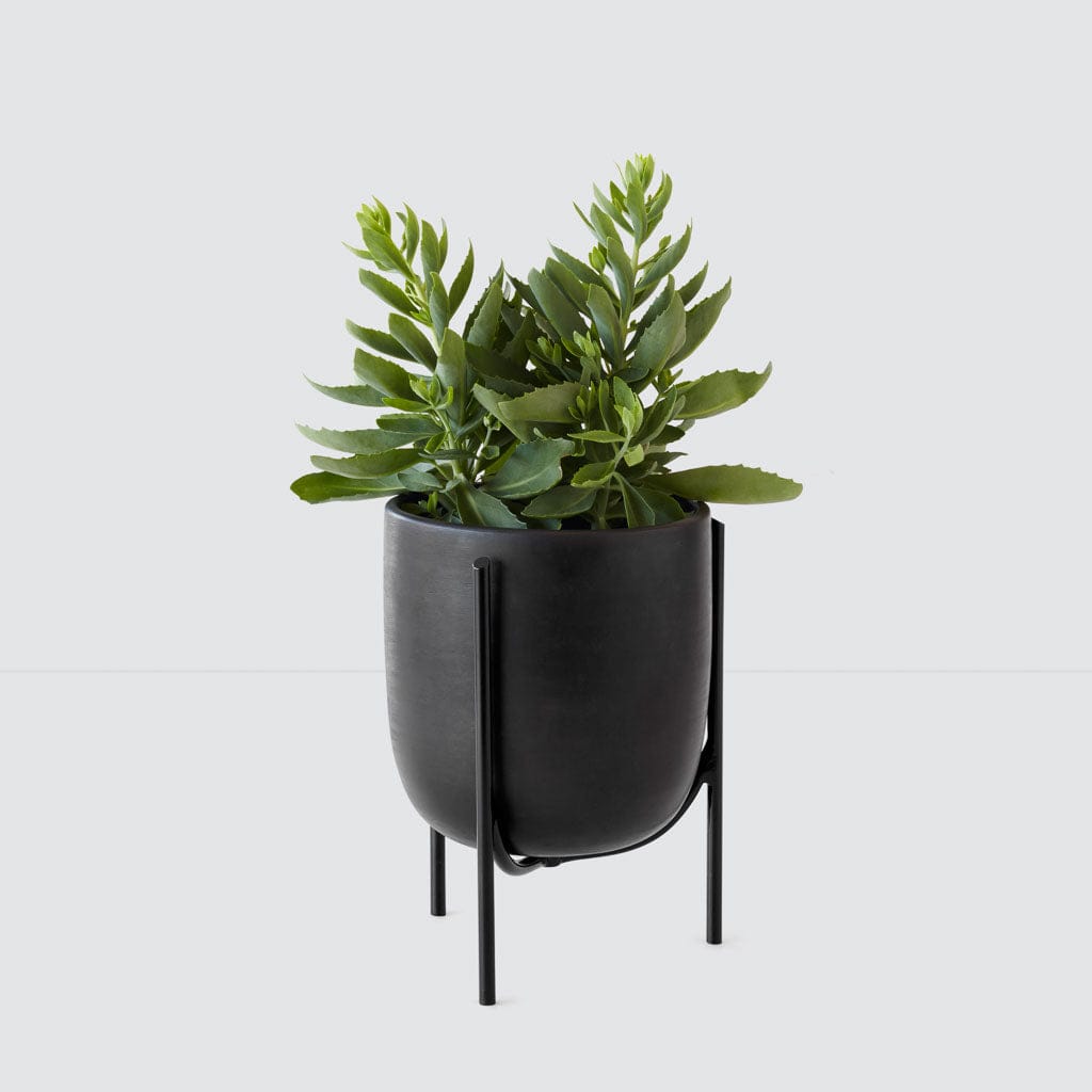 Cantaro Pots - Multiple Sizes