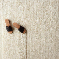 Jiya Hand-Knotted Area Rug