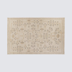 Khilana Hand-Knotted Area Rug